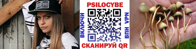 Псилоцибиновые грибы GOLDEN TEACHER  хочу   Николаевск-на-Амуре 